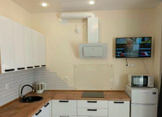 Сдается в аренду квартира студия, 27 м2, Сыктывкар, Петрозаводская улица, 43, район Орбита