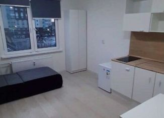 Сдаю квартиру студию, 19 м2, Екатеринбург, Латвийская улица, 58/4, ЖК Хрустальные Ключи