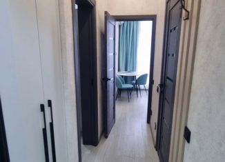 1-комнатная квартира в аренду, 31.5 м2, село Орёл-Изумруд, Дачная улица, 16А/2