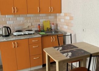Квартира на продажу студия, 26.1 м2, Барнаул, Балтийская улица, 97, ЖК Матрёшки