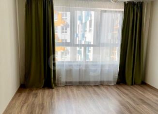 Продается квартира студия, 22.9 м2, деревня Глухово, Романовская улица, 11