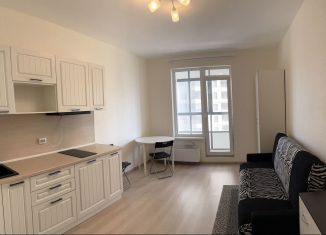 Продается квартира студия, 24 м2, Санкт-Петербург, муниципальный округ Народный, Русановская улица, 24