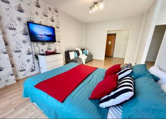Сдается квартира студия, 50 м2, Екатеринбург, улица Циолковского, 29, ЖК Времена Года