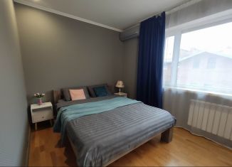 Сдаю таунхаус, 75 м2, Санкт-Петербург, Дивеевская улица, 1М