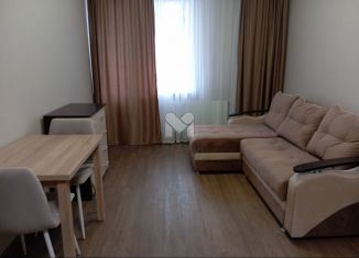 Продаю квартиру студию, 24.8 м2, Сертолово, Центральная улица, 14к4