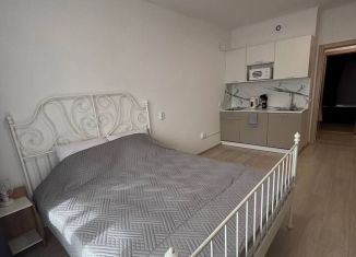 Сдаю в аренду квартиру студию, 26 м2, Екатеринбург, проспект Космонавтов, 7Б, метро Динамо