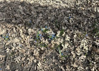 Продаю участок, 6 сот., Ставрополь, садовое товарищество Луч, 182, микрорайон № 12