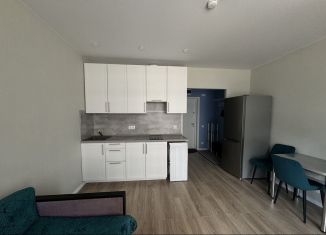 Сдача в аренду квартиры студии, 23.5 м2, Москва, Варшавское шоссе, 284к4, станция Щербинка