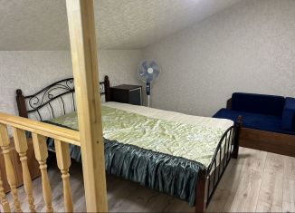 Сдача в аренду квартиры студии, 38 м2, село Черешня, Владимировская улица, 141