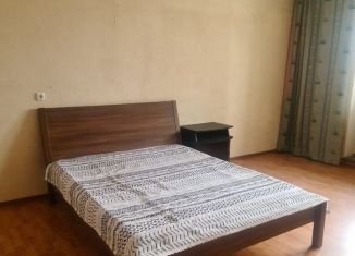 Аренда 1-ком. квартиры, 45 м2, Санкт-Петербург, улица Тамбасова, 13к2, муниципальный округ Константиновское