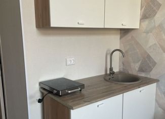 Квартира на продажу студия, 18 м2, Нижний Новгород, Юбилейный бульвар, 8, микрорайон Дарьино