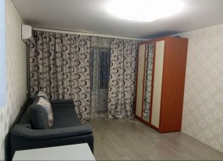 Продажа квартиры студии, 29.2 м2, село Михайловка, Сливовая улица, 9