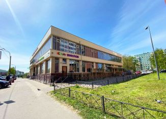 Продам помещение свободного назначения, 2095 м2, Санкт-Петербург, проспект Ударников, 16, муниципальный округ Пороховые