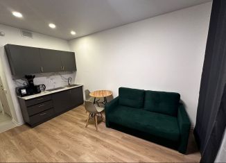 Аренда квартиры студии, 20 м2, Зеленоград, Георгиевский проспект, 27к2