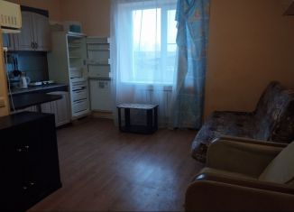 Сдается квартира студия, 23 м2, Екатеринбург, Зелёный переулок, 1А