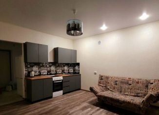 Сдаю в аренду квартиру студию, 25 м2, Искитим, Советская улица, 245/4