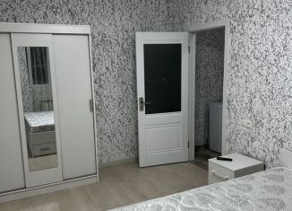 1-комнатная квартира в аренду, 30 м2, село Весёлое, Ереванская улица, 20Б
