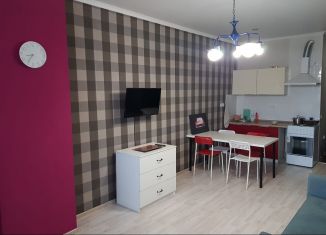 Сдаю в аренду квартиру студию, 37 м2, Ростов-на-Дону, улица Пацаева, 16/1, ЖК Звёздный