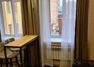 Сдаю в аренду квартиру студию, 20 м2, Санкт-Петербург, улица Шкапина