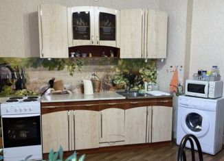 Сдача в аренду 1-ком. квартиры, 67 м2, Пермь, Холмогорская улица, 4Г, ЖК Авиатор