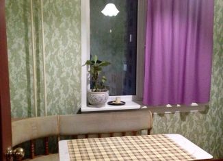 Однокомнатная квартира в аренду, 39 м2, Новосибирск, улица Забалуева, 53, метро Площадь Маркса