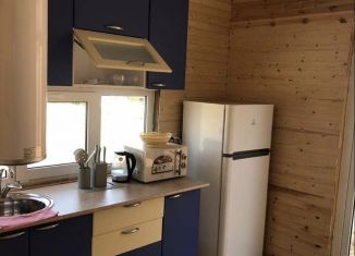 Сдача в аренду коттеджа, 50 м2, поселок при станции Инчхе