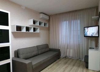 Аренда 1-комнатной квартиры, 38 м2, Челябинская область, улица Трашутина, 28