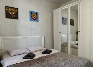 Сдается 2-комнатная квартира, 50 м2, Ярославль, Силикатное шоссе, 17, Красноперекопский район