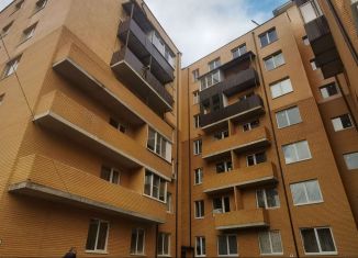 1-комнатная квартира в аренду, 27 м2, деревня Бородино, Варшавское шоссе, 78, ЖК Европа