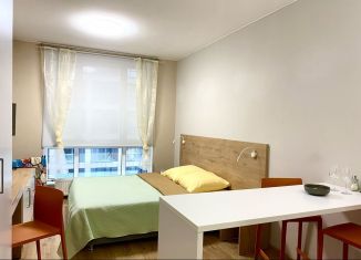 Квартира в аренду студия, 22 м2, посёлок Парголово, Толубеевский проезд, 8к2
