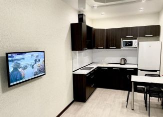 1-комнатная квартира в аренду, 40 м2, Волгоград, улица Пархоменко, 2А, Центральный район