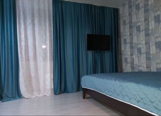 Квартира в аренду студия, 28 м2, Новосибирская область, Большая улица, 29