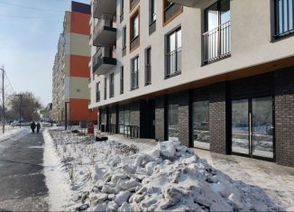 Продажа помещения свободного назначения, 41.9 м2, Курган, улица Коли Мяготина, 181, жилой район Центральный