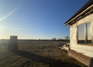 Продам дом, 110 м2, деревня Новошарипово