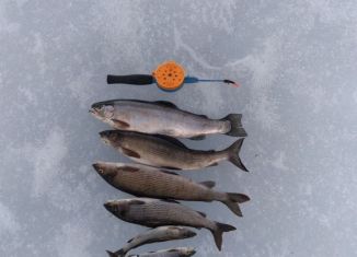 Аренда дома, 40 м2, Карелия