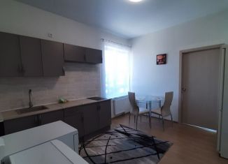 1-комнатная квартира в аренду, 33 м2, Екатеринбург, улица Отто Шмидта, 44, улица Отто Шмидта