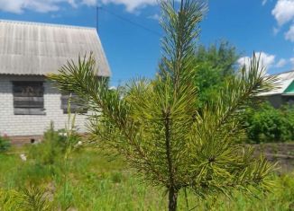 Продаю дачу, 35 м2, Курск, Сеймский округ, поле А, 225