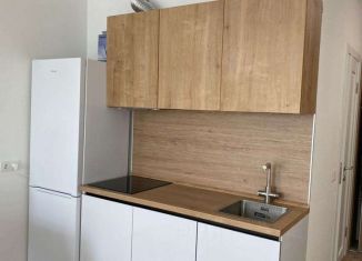 Сдается в аренду квартира студия, 30 м2, Люберцы, улица Камова, 3к2, ЖК Люберцы 2020