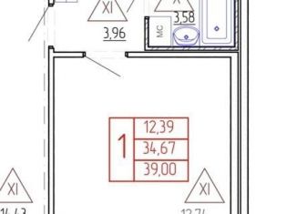 1-комнатная квартира на продажу, 39 м2, Кострома, Центральный район