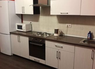 Сдается однокомнатная квартира, 29 м2, рабочий посёлок Селятино, Клубная улица, 28