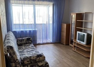 1-комнатная квартира в аренду, 43 м2, Челябинск, улица Овчинникова, 17А, Советский район