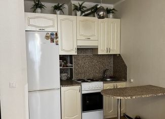 Продаю квартиру студию, 26 м2, Ростов-на-Дону, ЖК Платовский, улица Тимофеева, 14к1