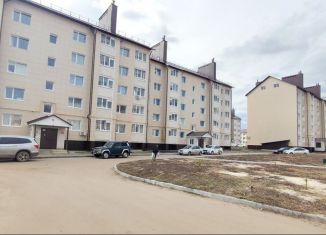 Продается 2-комнатная квартира, 50.9 м2, деревня Крутые Выселки, улица Герасимова, 2М, ЖК Изумрудный Город