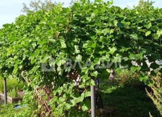 Продам дачу, 40 м2, СТ Мечта, СТ Мечта, 54