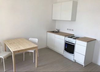 Сдам квартиру студию, 24.5 м2, поселок Бугры, Воронцовский бульвар, 11к3, ЖК Светлановский