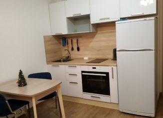 Сдается квартира студия, 25 м2, Санкт-Петербург, Плесецкая улица, 16