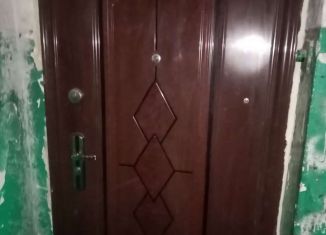 2-комнатная квартира на продажу, 43 м2, деревня Чижовка-2, Центральная улица, 18