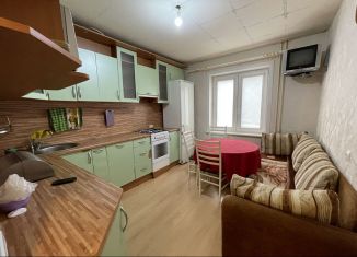 Сдам в аренду однокомнатную квартиру, 41 м2, Ленинградская область, улица Гагарина, 61А