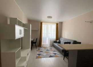 Сдача в аренду квартиры студии, 25 м2, Мурино, Екатерининская улица, 8к2, ЖК Три кита