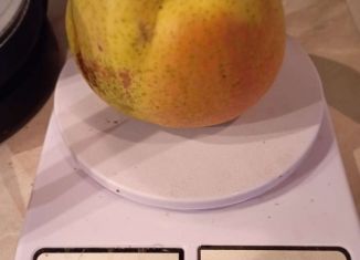 Продаю дачу, 40 м2, СДТ Пригородное, 12-я линия